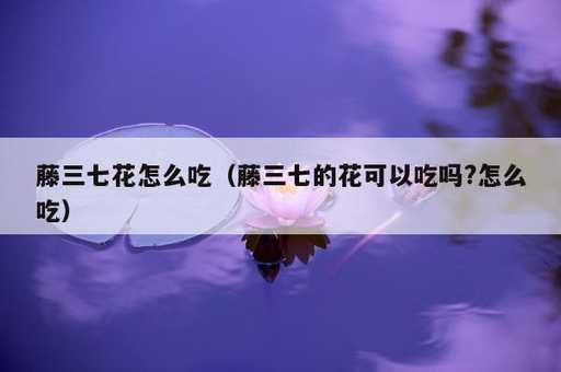 藤三七花怎么吃？藤三七的花可以吃吗?怎么吃_https://www.86362.com_资讯_第1张