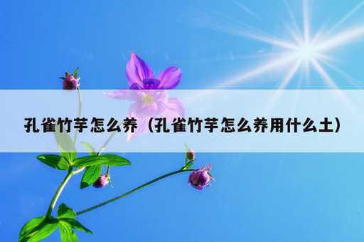 孔雀竹芋怎么养？孔雀竹芋怎么养用什么土