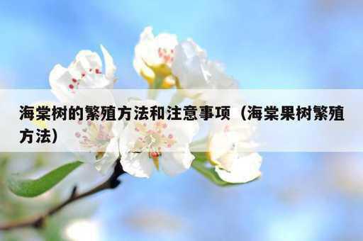 海棠树的繁殖方法和注意事项？海棠果树繁殖方法_https://www.86362.com_资讯_第1张