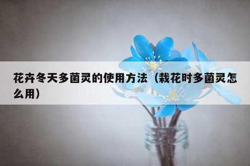 花卉冬天多菌灵的使用方法？栽花时多菌灵怎么用