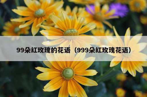 99朵红玫瑰的花语？999朵红玫瑰花语_https://www.86362.com_资讯_第1张