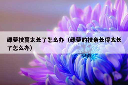 绿萝枝蔓太长了怎么办？绿萝的枝条长得太长了怎么办_https://www.86362.com_资讯_第1张