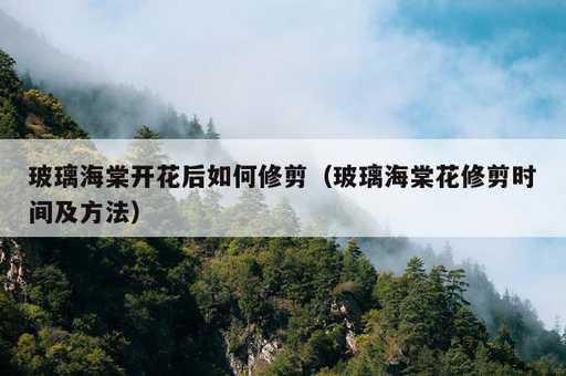 玻璃海棠开花后如何修剪？玻璃海棠花修剪时间及方法