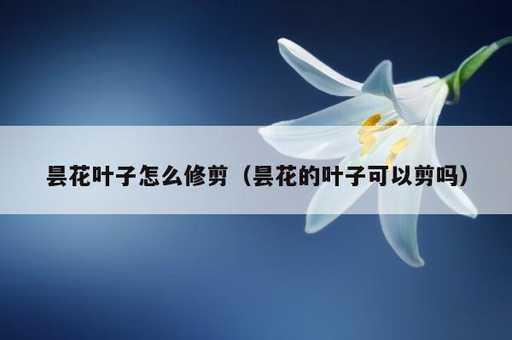 昙花叶子怎么修剪？昙花的叶子可以剪吗_https://www.86362.com_资讯_第1张