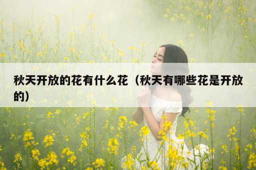 秋天开放的花有什么花？秋天有哪些花是开放的_https://www.86362.com_资讯_第1张