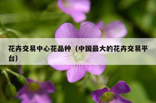 花卉交易中心花品种？中国最大的花卉交易平台