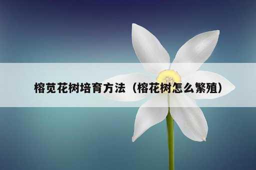 榕苋花树培育方法？榕花树怎么繁殖