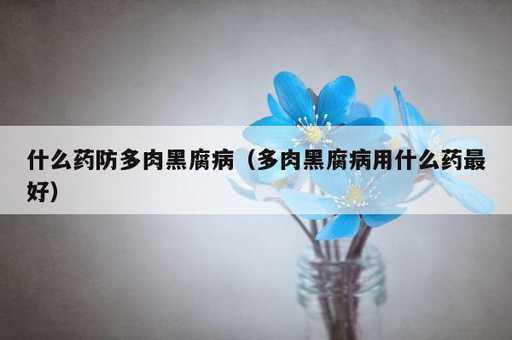 什么药防多肉黑腐病？多肉黑腐病用什么药最好_https://www.86362.com_资讯_第1张