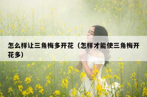 怎么样让三角梅多开花？怎样才能使三角梅开花多_https://www.86362.com_资讯_第1张