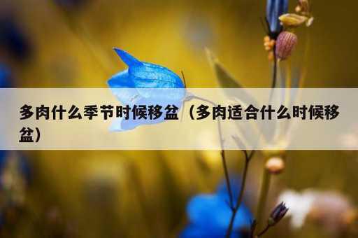 多肉什么季节时候移盆？多肉适合什么时候移盆_https://www.86362.com_资讯_第1张