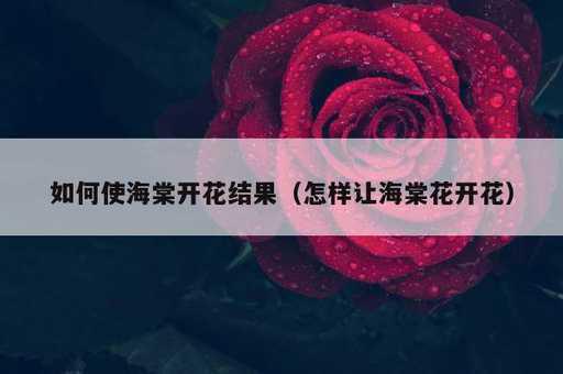 如何使海棠开花结果？怎样让海棠花开花_https://www.86362.com_资讯_第1张