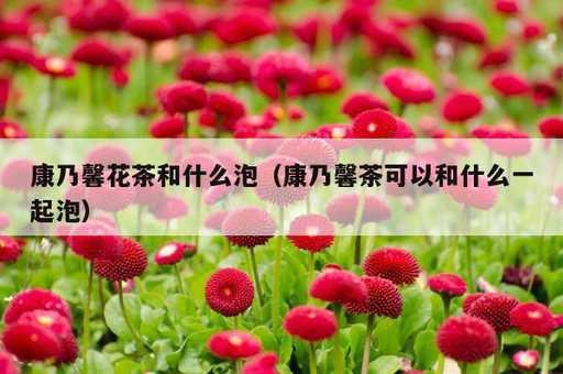 康乃馨花茶和什么泡？康乃馨茶可以和什么一起泡_https://www.86362.com_资讯_第1张