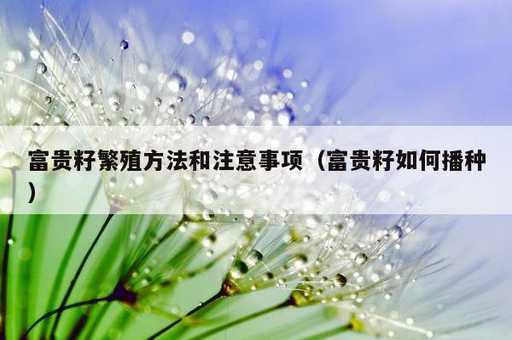 富贵籽繁殖方法和注意事项？富贵籽如何播种_https://www.86362.com_资讯_第1张