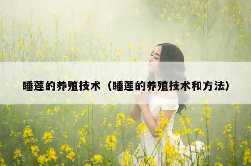 睡莲的养殖技术？睡莲的养殖技术和方法_https://www.86362.com_资讯_第1张