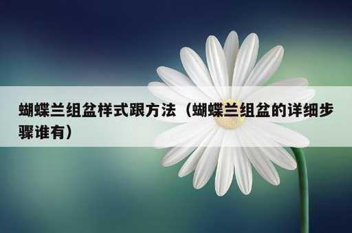 蝴蝶兰组盆样式跟方法？蝴蝶兰组盆的详细步骤谁有