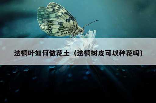 法桐叶如何做花土？法桐树皮可以种花吗_https://www.86362.com_资讯_第1张