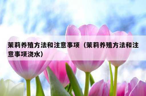 茉莉养殖方法和注意事项？茉莉养殖方法和注意事项浇水_https://www.86362.com_资讯_第1张