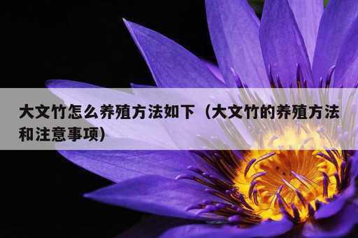 大文竹怎么养殖方法如下？大文竹的养殖方法和注意事项_https://www.86362.com_资讯_第1张