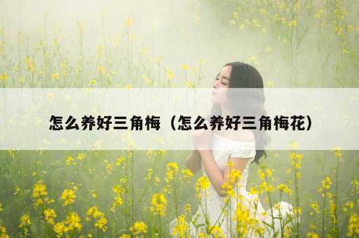 怎么养好三角梅？怎么养好三角梅花_https://www.86362.com_资讯_第1张