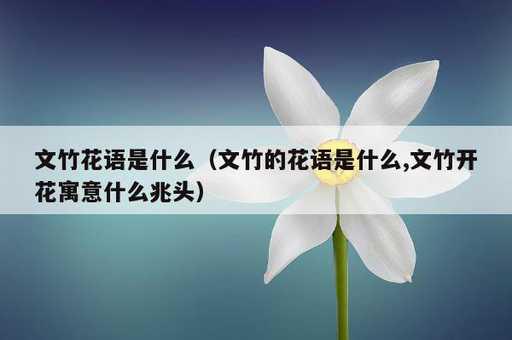 文竹花语是什么？文竹的花语是什么,文竹开花寓意什么兆头_https://www.86362.com_资讯_第1张