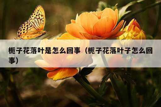 栀子花落叶是怎么回事？栀子花落叶子怎么回事