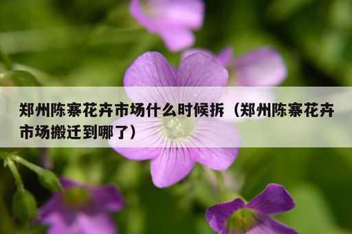 郑州陈寨花卉市场什么时候拆？郑州陈寨花卉市场搬迁到哪了_https://www.86362.com_资讯_第1张