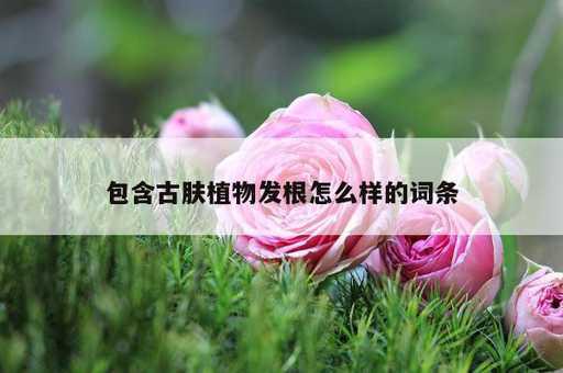 包含古肤植物发根怎么样的词条_https://www.86362.com_资讯_第1张