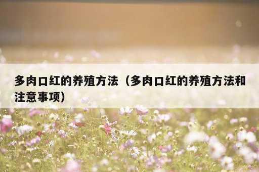 多肉口红的养殖方法？多肉口红的养殖方法和注意事项