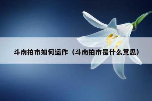 斗南拍市如何运作？斗南拍市是什么意思_https://www.86362.com_资讯_第1张