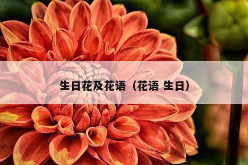 生日花及花语？花语 生日_https://www.86362.com_资讯_第1张