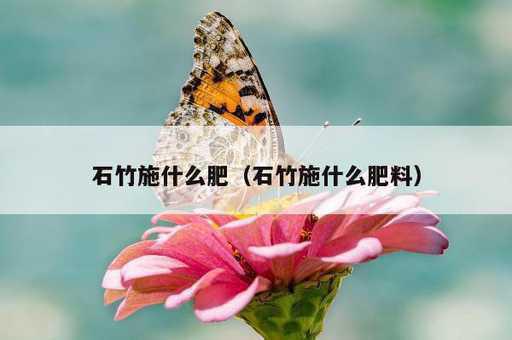 石竹施什么肥？石竹施什么肥料_https://www.86362.com_资讯_第1张