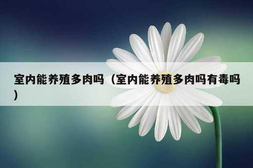 室内能养殖多肉吗？室内能养殖多肉吗有毒吗_https://www.86362.com_资讯_第1张