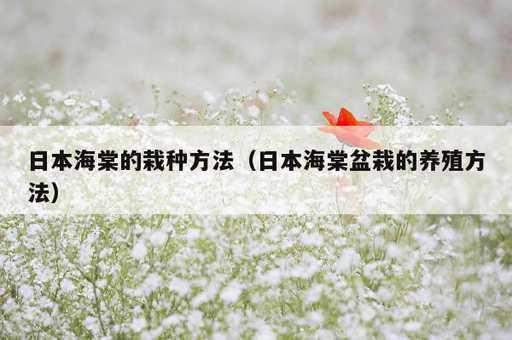 日本海棠的栽种方法？日本海棠盆栽的养殖方法