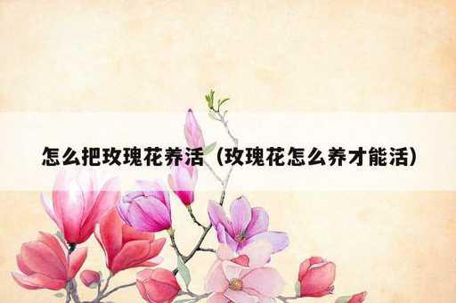 怎么把玫瑰花养活？玫瑰花怎么养才能活_https://www.86362.com_资讯_第1张