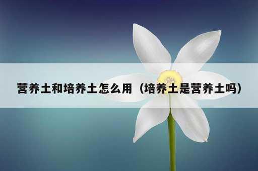 营养土和培养土怎么用？培养土是营养土吗