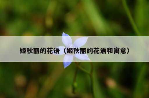 姬秋丽的花语？姬秋丽的花语和寓意_https://www.86362.com_资讯_第1张