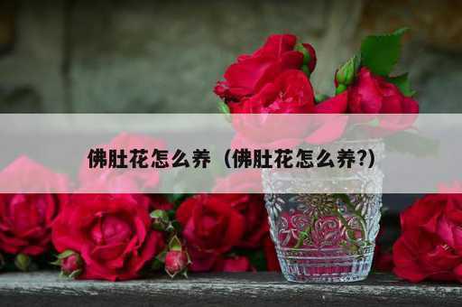 佛肚花怎么养？佛肚花怎么养?_https://www.86362.com_资讯_第1张