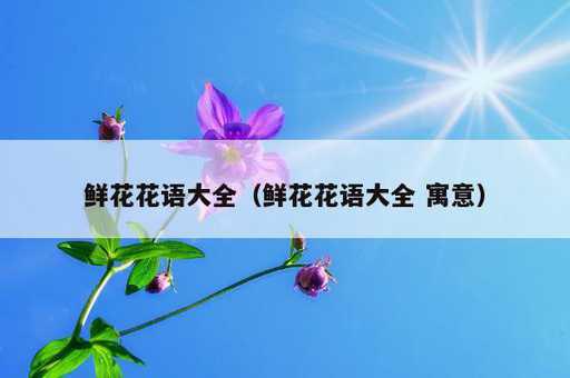 鲜花花语大全？鲜花花语大全 寓意_https://www.86362.com_资讯_第1张