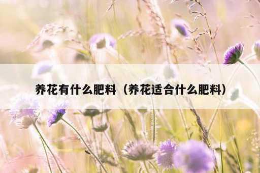 养花有什么肥料？养花适合什么肥料_https://www.86362.com_资讯_第1张