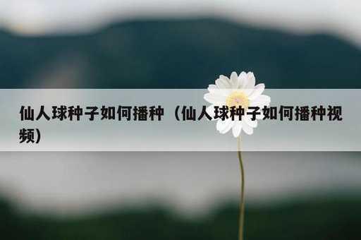 仙人球种子如何播种？仙人球种子如何播种视频_https://www.86362.com_资讯_第1张