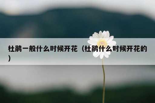 杜鹃一般什么时候开花？杜鹃什么时候开花的