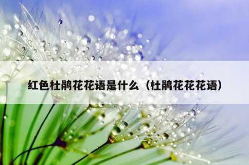 红色杜鹃花花语是什么？杜鹃花花花语_https://www.86362.com_资讯_第1张