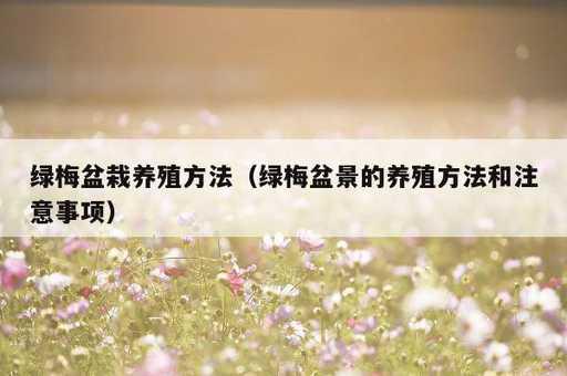 绿梅盆栽养殖方法？绿梅盆景的养殖方法和注意事项_https://www.86362.com_资讯_第1张