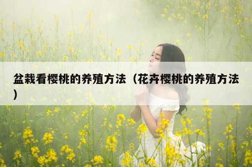 盆栽看樱桃的养殖方法？花卉樱桃的养殖方法