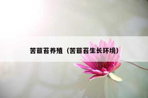 苦苣苔养殖？苦苣苔生长环境_https://www.86362.com_资讯_第1张