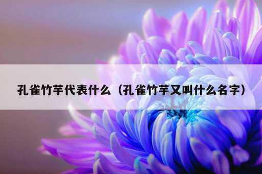 孔雀竹芋代表什么？孔雀竹芋又叫什么名字